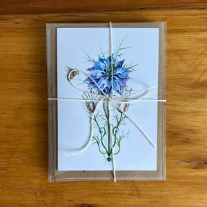 Whimsical Garden Greeting Card Set