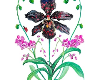 The Orchid & the Ladybug - Botanical Art - Floral Art Print