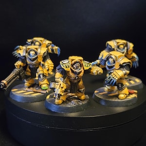 Imperial Fists Cataphractii Terminator Squad