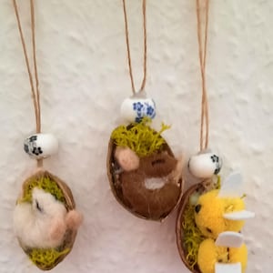 Könnte beinhalten: Drei handgefertigte Ornamente hängen an einer weißen Wand. Jedes Ornament zeigt eine Walnussschale mit einem filzigen Miniaturtier im Inneren, umgeben von grünem Moos. Die Ornamente sind mit Schnur und dekorativen Perlen aufgehängt.