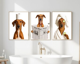 Puede incluir: Conjunto de tres láminas enmarcadas con perros en escenas de baño humorísticas. Un perro equilibra un rollo de papel higiénico en la cabeza, otro lee un periódico y el tercero lleva una toalla y rodajas de pepino. Fondo blanco.