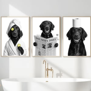 May include: Set of three framed black and white dog art prints. One dog wears a towel and robe with cucumber slices, another reads a newspaper, and the third has a toilet paper roll on its head. Bathroom decor.