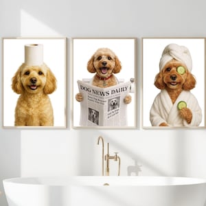 Könnte beinhalten: Drei gerahmte Drucke mit Hunden in humorvollen Spa-Posen. Ein Hund hat eine Toilettenpapierrolle auf dem Kopf, ein anderer liest eine Zeitung und der dritte trägt ein Handtuch und Gurkenscheiben.