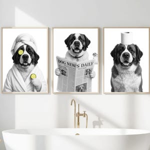 May include: A triptych of framed black and white prints. Each features a Saint Bernard dog in a humorous pose: one with a towel and cucumber slices, another reading a newspaper, and the third with a toilet roll on its head. Bathroom decor.