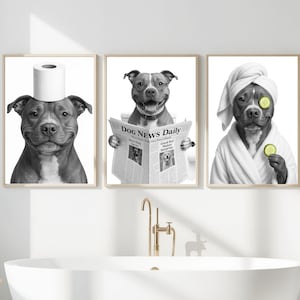 Juego de 3 divertidas láminas para baño de American Pit Bull Terrier: perro leyendo el periódico en el inodoro. Arte de pared imprimible. Arte para baño. Perro en el inodoro.