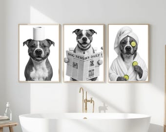 May include: Three framed black and white dog portraits. One dog has a toilet roll on its head, another reads a newspaper, and the third wears a spa robe and cucumber slices on its eyes.