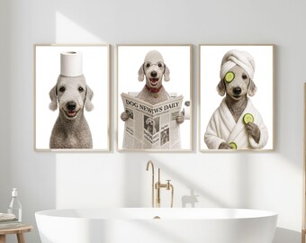 Set of 3 Funny Bedlington Terrier Bathroom Prints, Printable Wall Art, Bathroom art, Dog in Toilet, Dog Reading Newspaper on Toilet