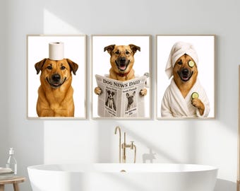 May include: Three framed prints depicting dogs in amusing bathroom scenarios. One dog balances a toilet roll on its head, another reads a newspaper, and the third wears a robe and cucumber slices. The prints are above a white bathtub.