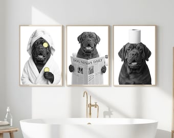 Set of 3 Korean Mastiff Bathroom Prints, Printable Wall Art, Korean Mastiff Art, Bathroom art, Bathroom Wall Decor, Dog in Toilet