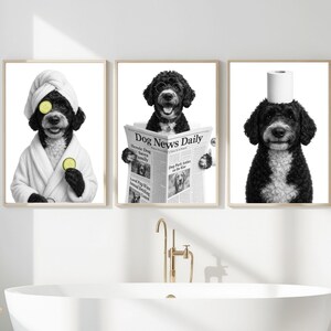 May include: Three framed black and white prints of dogs in humorous poses. One dog wears a spa robe and cucumber slices, another reads a newspaper, and the third has a toilet paper roll on its head.