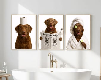 May include: Three framed prints depict a brown dog in amusing bathroom scenarios. One shows the dog with a toilet roll on its head, another reading a newspaper, and the last wearing a robe and cucumber slices on its eyes. The prints are framed.
