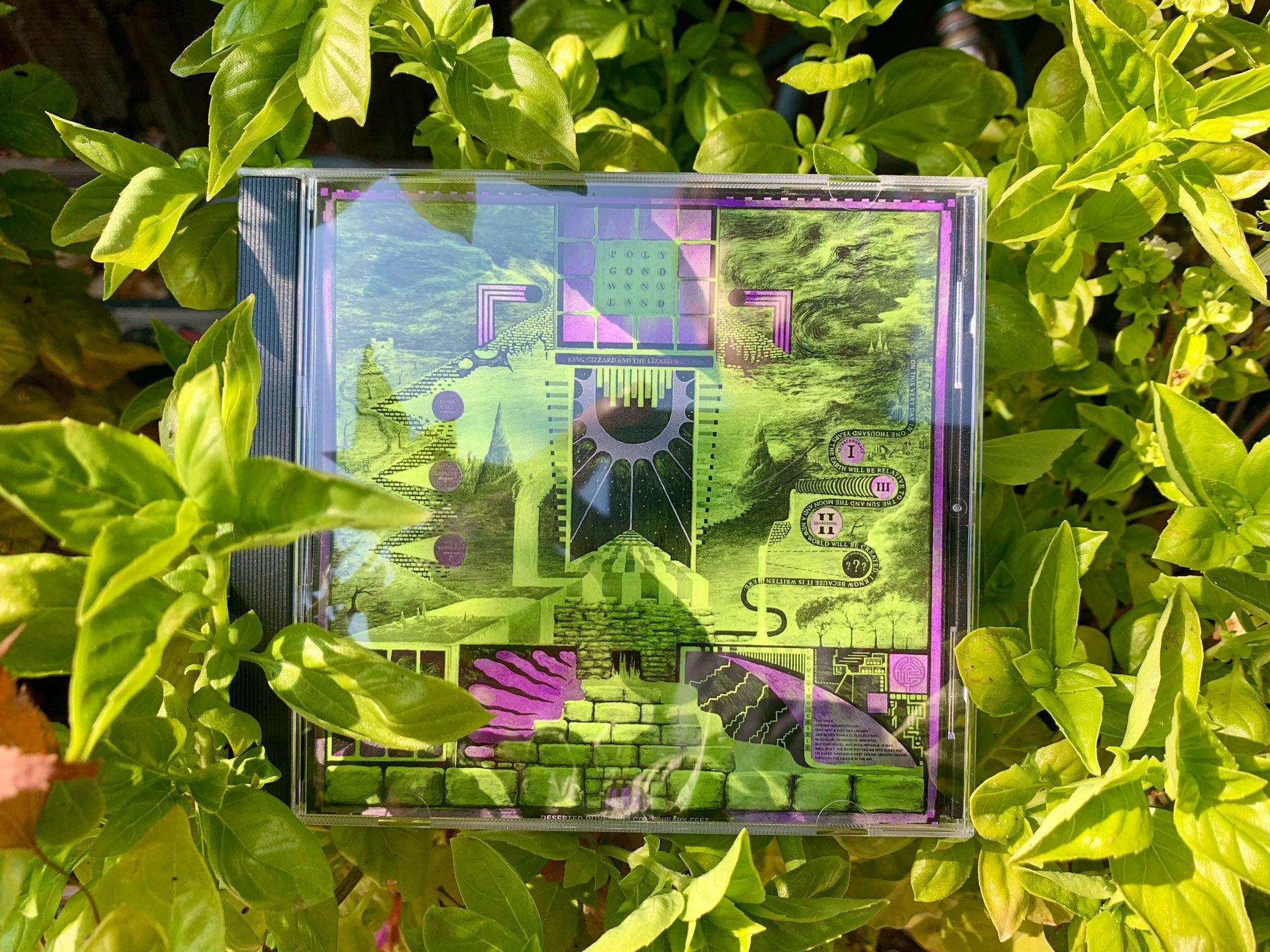 Polygondwanaland CD IDR-001 - Etsy