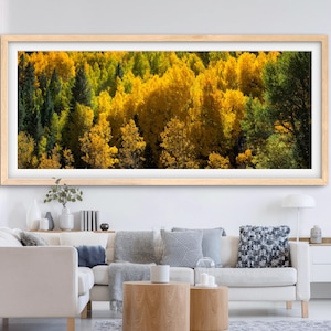 A Fall Mosaic Pano, Colorado Fall Photos, Fall Aspen Photos, Colorado Forest Photos, Aspen Forest Photos, Fine Art Landscape Photography