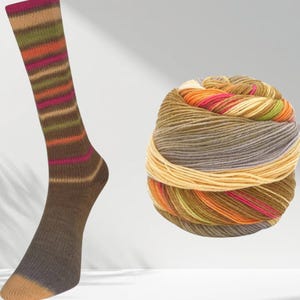 Sock Yarn - Self Striping Wool Nylon Laines du Nord Infinity Italy Olive 11