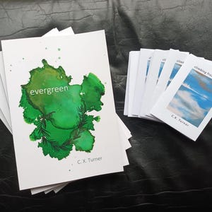 evergreen by C.X. Turner: a collection of haiku, senryū and tanka poetry, published by Alba Publishing (July 2024) & free microchap!!