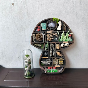 Puede incluir: Una estantería en forma de hongo marrón oscuro llena de curiosidades en miniatura, incluyendo una llave, una piña y pequeñas imágenes enmarcadas. Una campana de cristal con una planta está a la izquierda. La estantería está sobre una mesa marrón oscuro.