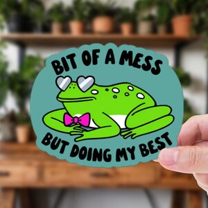 Bit of a Mess, But Doing My Best Vinyl Sticker – Chaotic Cute Frog with Heart Glasses | Funny Relatable AI Art Decal