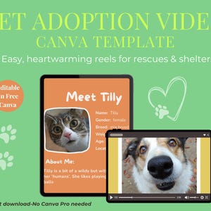 Pet Adoption Video Canva Template – Editable Shelter Promo Slides for Dogs & Cats, Rescue Social Media Kit, 1080x1080 px Instagram template