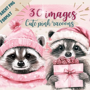 Bundle of 30 Pink Christmas Racoon clipart png. Feral racoon. Tshirt clipart. Cutepink racoon. Tshirt png. Christmas gift,hot and messy idea