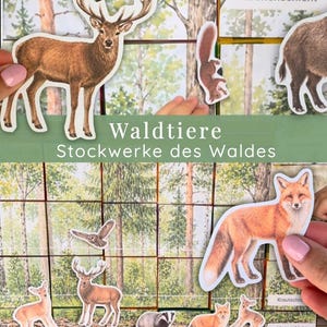 Może przedstawiać: Edukacyjna gra o tematyce leśnej z wycinkami zwierząt, w tym jelenia, lisa i wiewiórki, na tle leśnym. Tekst "Waldtiere Stockwerke des Waldes" jest widoczny na planszy.