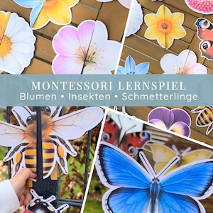 Puede incluir: Una colección de recortes de papel coloridos de flores, mariposas e insectos. La imagen incluye una variedad de formas de flores y diseños de insectos, con el texto "MONTESSORI LERNSPIEL Blumen • Insekten • Schmetterlinge" en la parte inferior.