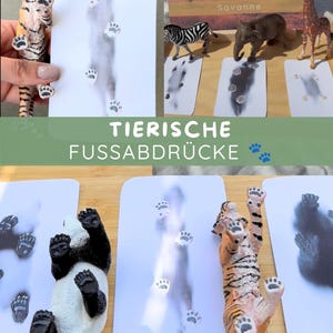 Op de afbeelding: Een set educatieve kaarten met dierlijke voetafdrukken naast miniatuur plastic dierenfiguren, waaronder een tijger, zebra, olifant, giraf en panda. De kaarten tonen afgedrukte pootafdrukken en de tekst TIERISCHE FUSSABDRÜCKE.