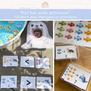 May include: An educational game set featuring a seal-shaped container, colorful fish cutouts, and white cards with math symbols and animal illustrations. The text reads: Wer hat mehr gefressen? f&ouml;rdert das Mengenverst&auml;ndnis. Includes clear plastic storage boxes.