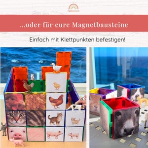 Puede incluir: Un conjunto de piezas de construcci&oacute;n magn&eacute;ticas cuadradas con im&aacute;genes y texturas de animales impresas. Las piezas forman estructuras, incluyendo una pared grande y cubos peque&ntilde;os. El texto dice: ...oder f&uuml;r eure Magnetbausteine. Einfach mit Klettpunkten befestigen!