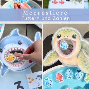Zeedieren voeren en tellen | De getallen 1-10 leren | Montessori-leerspel | Zomers waterspel | Hoeveelheden begrijpen | PDF-download voor wiskunde in de kleuterklas