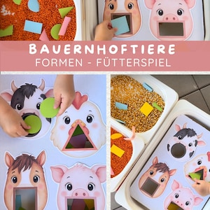 Op de afbeelding: Een boerderijdier-vormensorteerspel met illustraties van een paard, varken, koe en kip met uitgesneden monden. De set bevat kleurrijke geometrische vormen en bakken gevuld met oranje linzen en gele maïskorrels. Tekst: BAUERNHOFTIERE FORMEN - FÜTTERSPIEL.