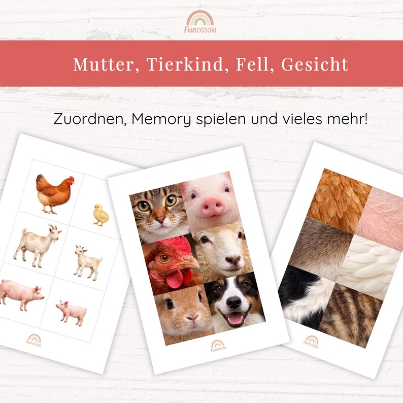 Puede incluir: Tres hojas de actividades educativas con im&aacute;genes de animales. Las hojas muestran ilustraciones de animales adultos y sus cr&iacute;as, fotograf&iacute;as en primer plano de caras de animales y varias texturas de pelaje y plumas con el texto Mutter, Tierkind, Fell, Gesicht.