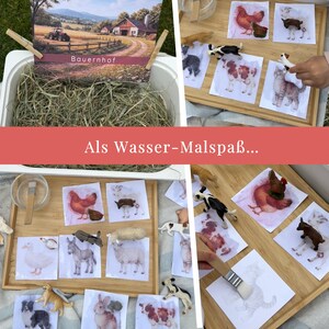 Puede incluir: Un juego sensorial que incluye un recipiente blanco lleno de heno, una tarjeta de escena de granja con la etiqueta Bauernhof y una bandeja de bamb&uacute; con varias figuras de animales y tarjetas blancas que representan animales de granja.