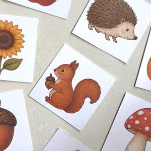 May include: A collection of square cards featuring illustrations of a red apple, a brown hedgehog, a yellow sunflower, a brown squirrel holding an acorn, a large brown acorn, a red and white spotted mushroom, and a scarecrow in blue overalls.