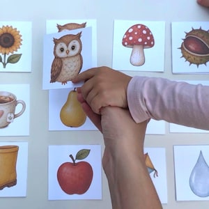 May include: A set of square educational cards featuring illustrations of a sunflower, an owl, a mushroom, a chestnut, a tea cup with a heart, a yellow pear, a yellow rain boot, a red apple, and a blue water droplet on a white background.