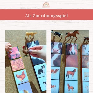Puede incluir: Un juego de asociaci&oacute;n con tarjetas cuadradas que muestran fotograf&iacute;as de animales de granja como pollos, caballos, vacas y cabras. Las tarjetas presentan diversas texturas animales e im&aacute;genes de cuerpo completo, junto a figuras de pl&aacute;stico.