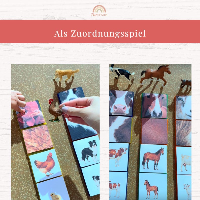 Puede incluir: Un juego de asociaci&oacute;n con tarjetas cuadradas que muestran fotograf&iacute;as de animales de granja como pollos, caballos, vacas y cabras. Las tarjetas presentan diversas texturas animales e im&aacute;genes de cuerpo completo, junto a figuras de pl&aacute;stico.