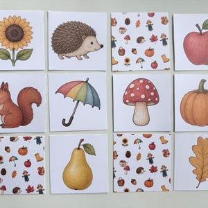 May include: A set of twelve square cards featuring autumn-themed illustrations including a sunflower, hedgehog, red apple, squirrel with an acorn, rainbow umbrella, mushroom, pumpkin, pear, oak leaf, and two patterns with various seasonal icons.