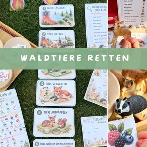 Könnte beinhalten: Ein Waldtier-Rettungs-Lernspielset mit nummerierten Anleitungskarten, die einen Fuchs, ein Reh und ein Eichhörnchen zeigen, einer Untersuchungs-Checkliste, Tierfiguren wie Reh und Dachs sowie verschiedenen Futterkarten.