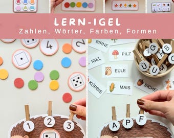 Egel Leerpakket Herfst | Cijfers, Woorden, Kleuren, Vormen & Hoeveelheden | Wasknijperspel voor Kleuters en Peuters | PDF Download