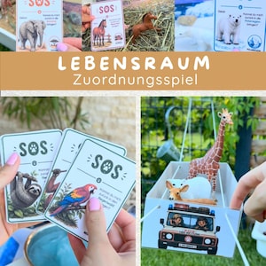 Djurräddningsspel med Schleich-djur | Matchande livsmiljöer | 80 djurkort | Montessori-lärandespel | Skog, hav, savann PDF | PDF