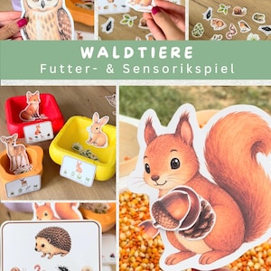 Puede incluir: Un juego sensorial de animales del bosque que incluye cuencos de plástico de colores, figuras de animales ilustradas como un búho, ratón, zorro, conejo, erizo y ardilla, y tarjetas informativas con el texto WALDTIERE Futter- & Sensorikspiel.