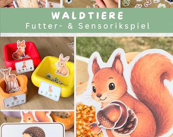 Waldtiere Futterspiel PDF | Lernspiel Wald & Tiere | Sensorikspiel Kinder | Zuordnungsspiel | Herbst Beschäftigung Kindergarten Kita