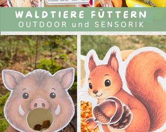 Waldtiere Futterspiel PDF | Lernspiel Wald & Tiere | Sensorikspiel Kinder | Zuordnungsspiel | Herbst Beschäftigung Kindergarten Kita Outdoor