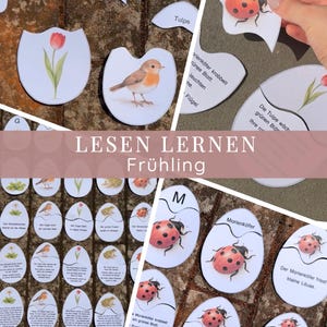 Puede incluir: Piezas de rompecabezas educativas con ilustraciones de primavera, incluyendo un tulipán rojo, un petirrojo y una mariquita. El texto "LESEN LERNEN Frühling" es visible. Las piezas están dispuestas sobre una superficie de ladrillo.
