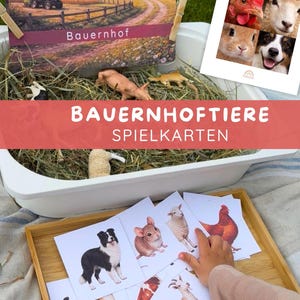 Puede incluir: Un juego de cartas de animales de granja con ilustraciones de un perro, rat&oacute;n, oveja, gallina, gato y cabra. Las cartas se muestran en una bandeja de madera junto a un recipiente blanco lleno de heno y peque&ntilde;as figuras de animales.