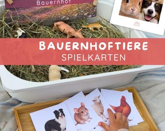 Farm Animals Learning Game for Children | Magnetic Building Blocks Cards + Water Painting Game | Montessori Game | Animal Cards PDF | Sensory Learning & Matching | Ages 2+