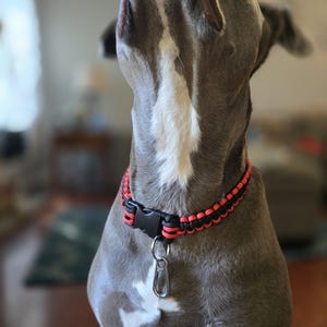 Rope Dog collar, braided Dog Collar, Woven pet collar, Soft Dog collar, Comfortable Dog Collar, Paracord Dog Collar