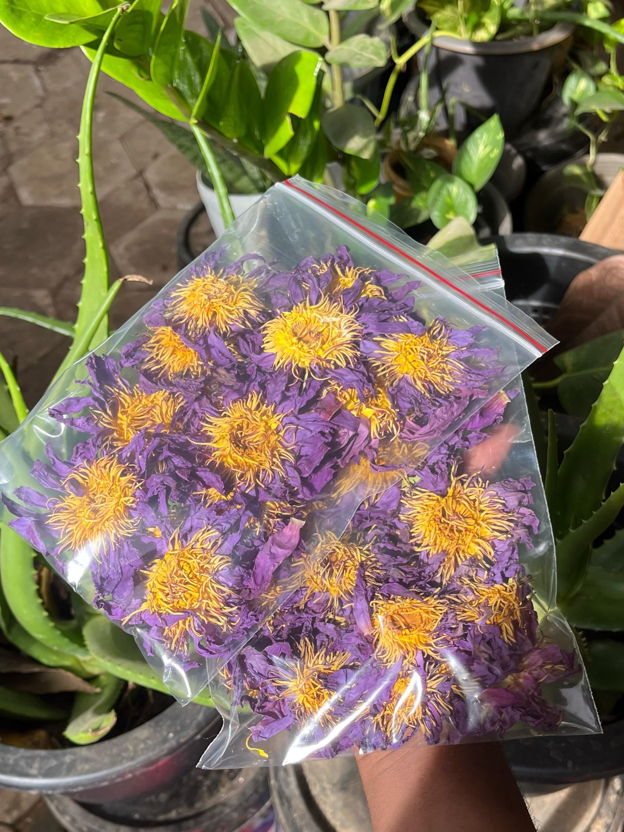 Blue Smoke Flower - Etsy