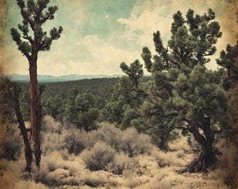 New Mexico Trails Perfume - Pinon, Oud, Incense, Moss, Vanilla, Ylang, Sage, Sea Salt