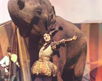 Silky Elephant Ears Perfume - Funnel Cake, Cinnamon, Nutmeg, Vanilla, Tonka Bean, Sandalwood, Amber, Musk